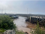 resIMG_20230707_092655_IMG_0582.jpg